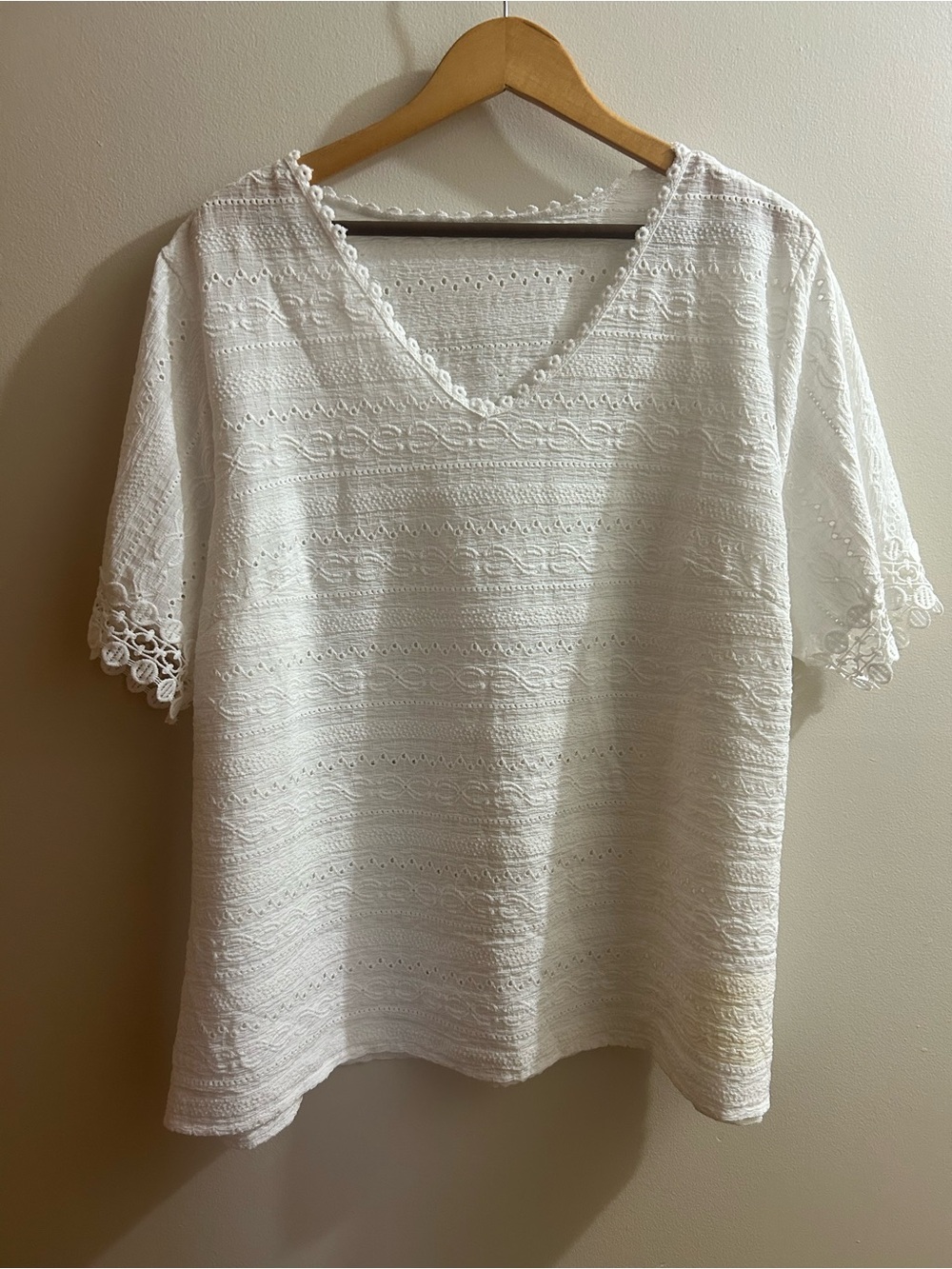 Women’s Plus Lace-Trim V-Neck Eyelet Blouse Top